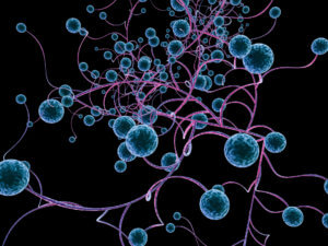 Cells signifying Sara Winokur's cancer journey