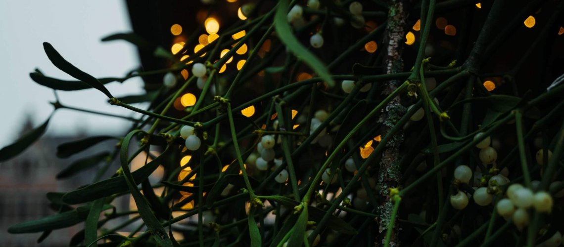 Mistletoe hanging near holiday lights