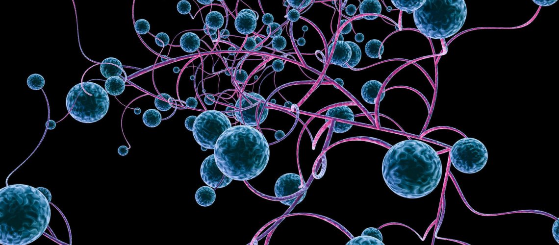 Cells signifying Sara Winokur's cancer journey